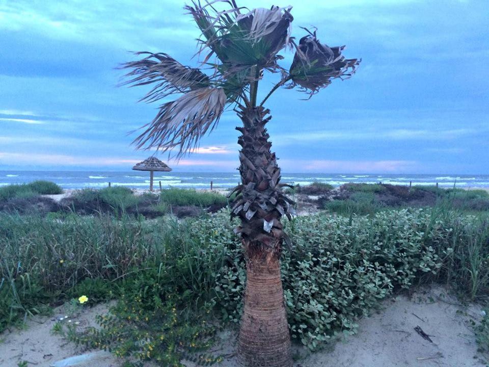 Unobstructed Oceanfront Sea Turtle Unit 2 Beach Pad! Surfside Beach Kültér fotó